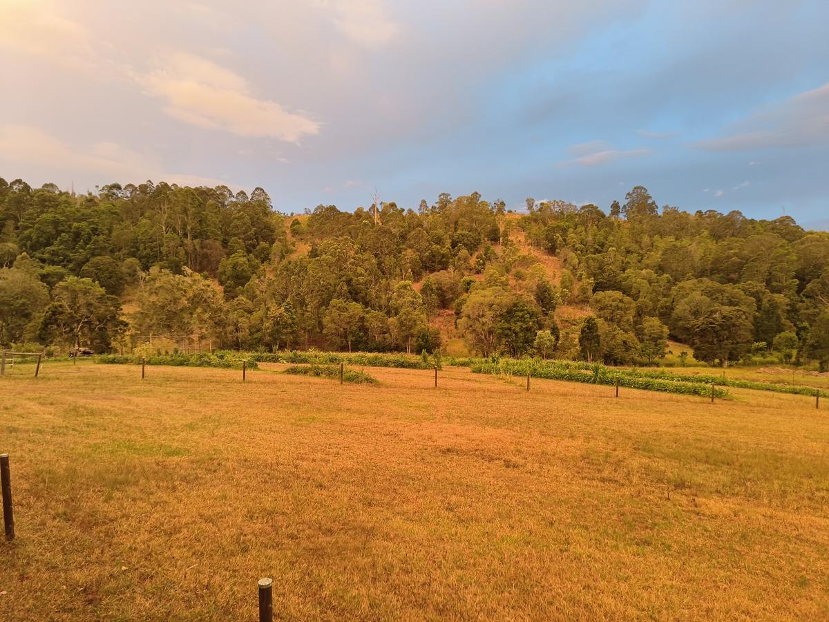 Paddock landscape at FFC
