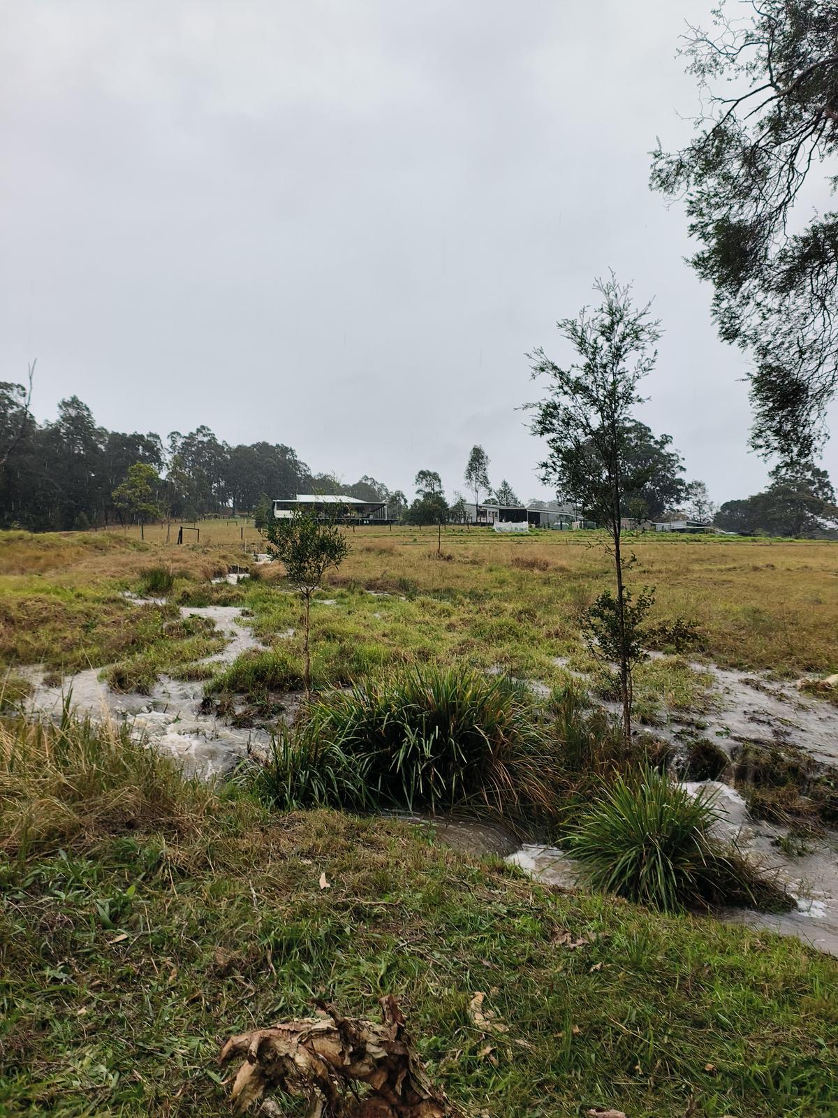 Wet season at FFC - saturated paddock