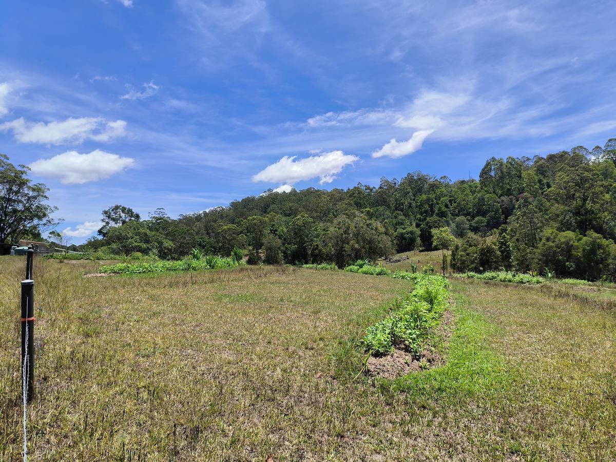 Wide view of FFC paddocks and forest hill
